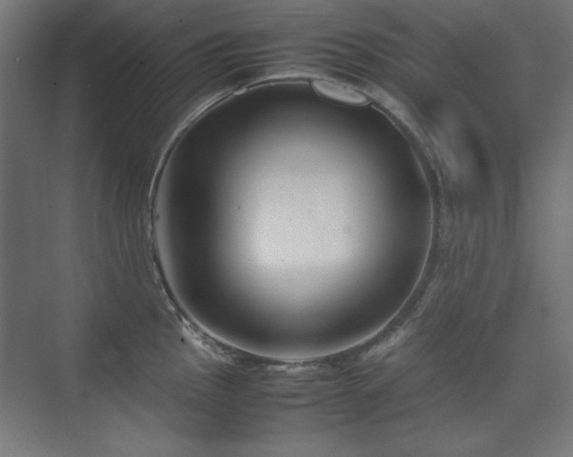 X0000074211145200608251056