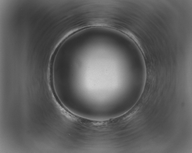 X0000074211147200608251056