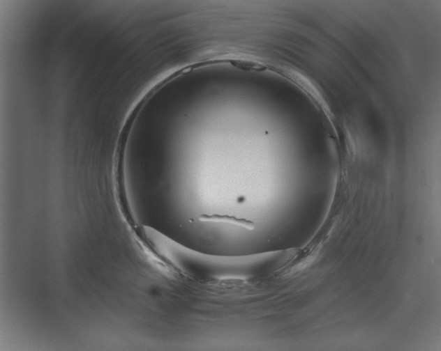 X0000074211149200608251056