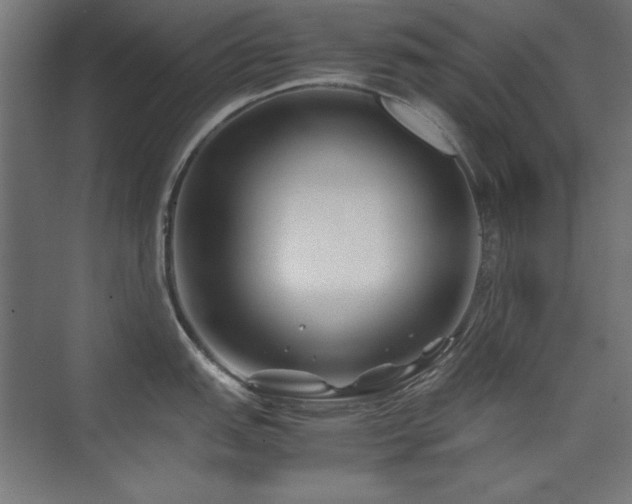 X0000074211151200608251056