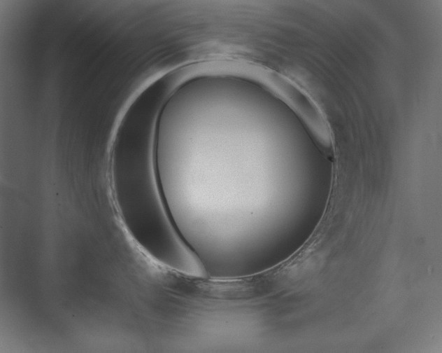 X0000074211152200608251056