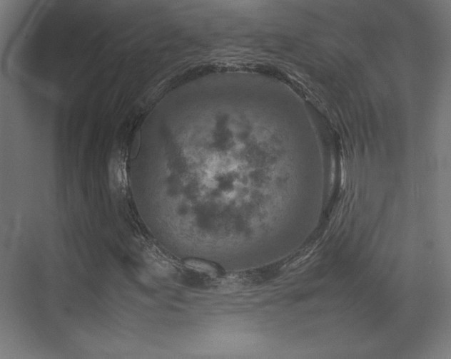 X0000074211155200608251055