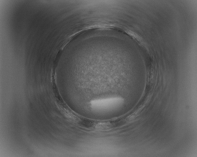 X0000074211161200608251055