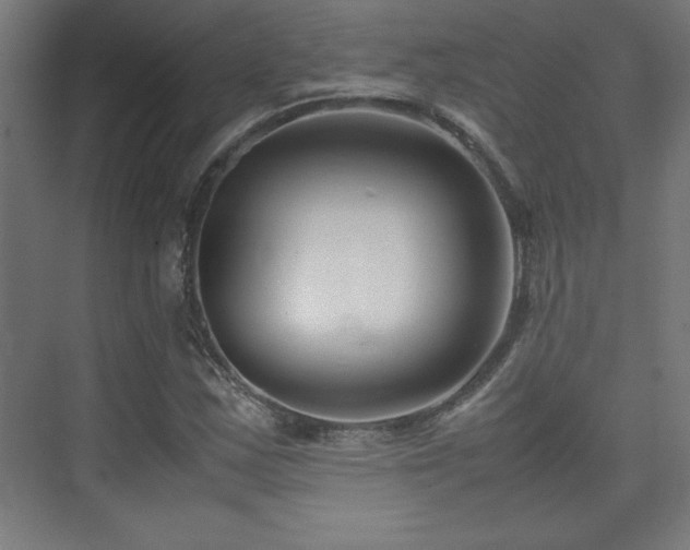 X0000074211163200608251055