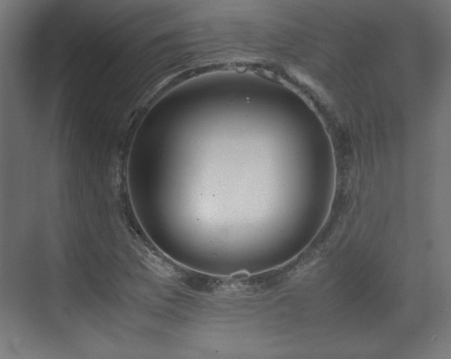 X0000074211169200608251055