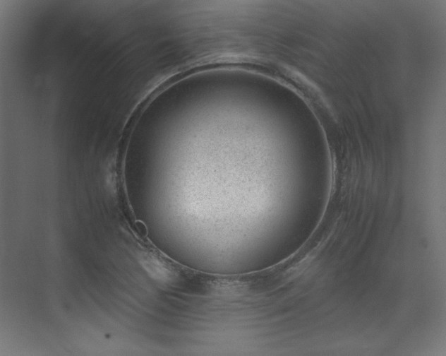 X0000074211170200608251055