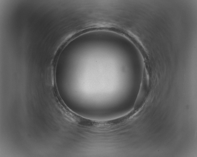 X0000074211171200608251055