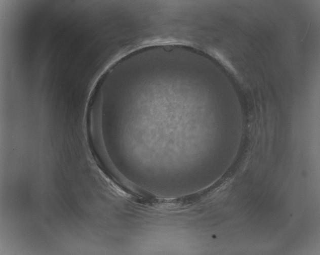 X0000074211173200608251055