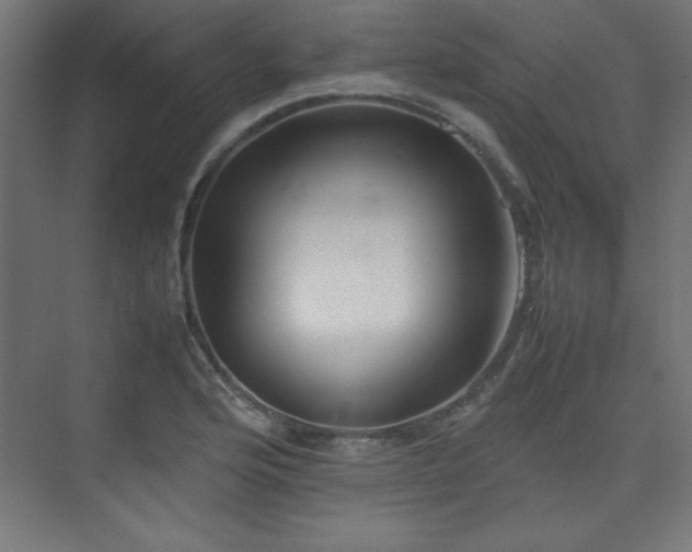 X0000074211176200608251055