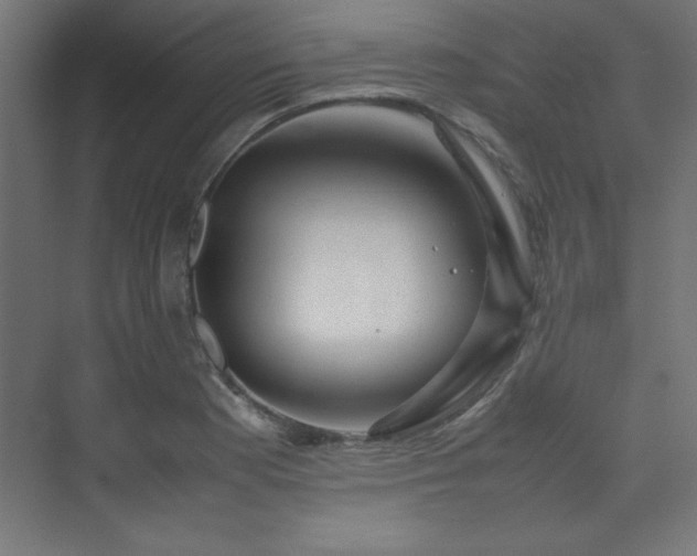 X0000074211177200608251055