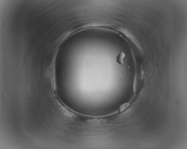 X0000074211185200608251055