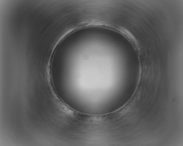 X0000074211190200608251055
