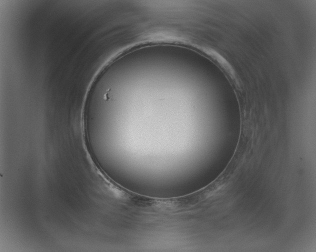 X0000074211191200608251055