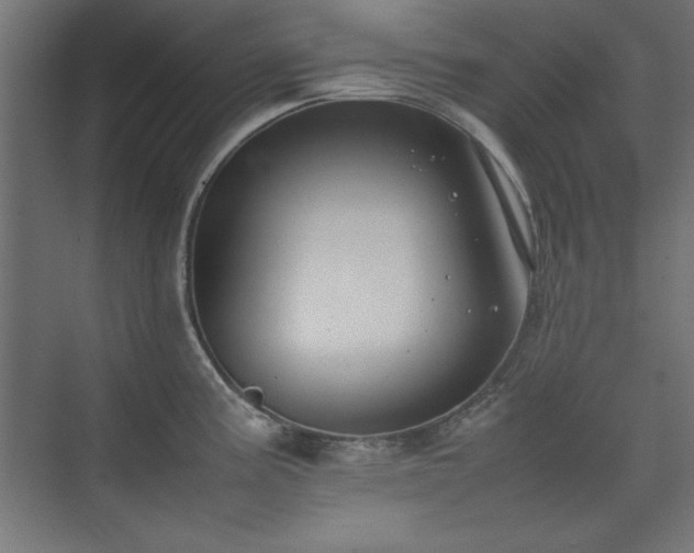 X0000074211195200608251054