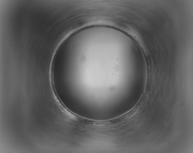 X0000074211199200608251054