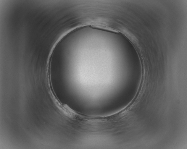 X0000074211200200608251054