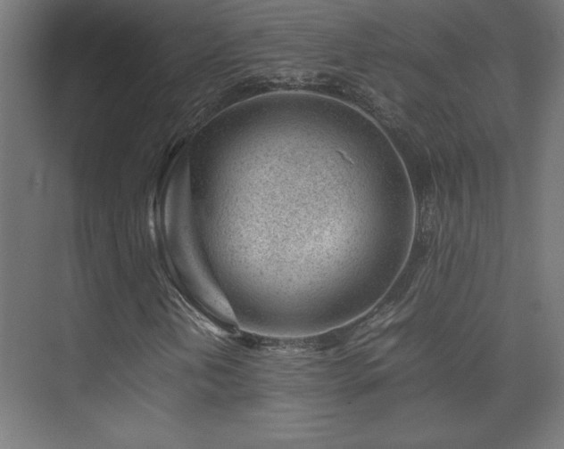 X0000074211202200608251054