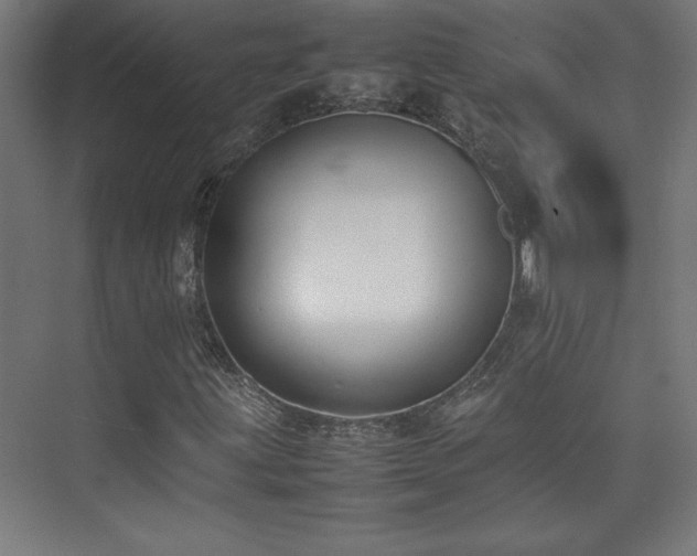 X0000074211203200608251054
