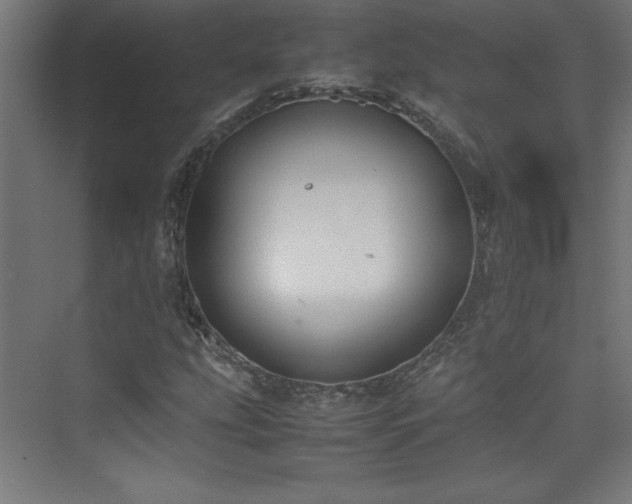 X0000074211207200608251054