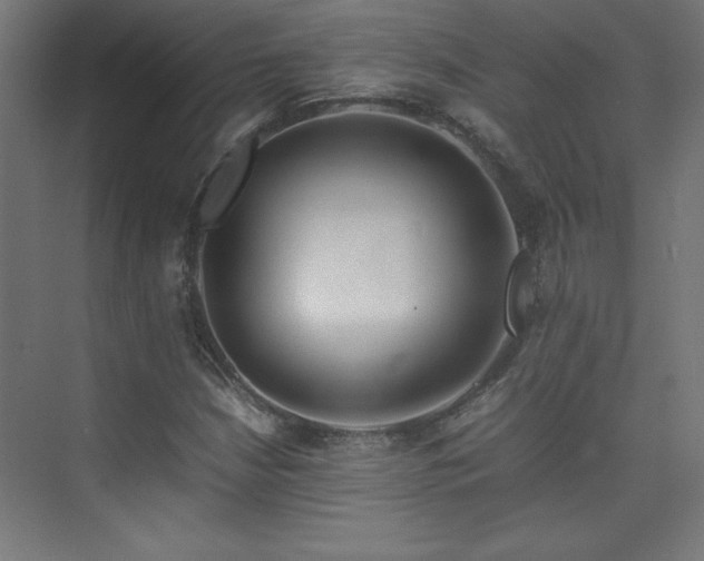 X0000074211210200608251054