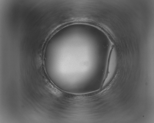 X0000074211212200608251054