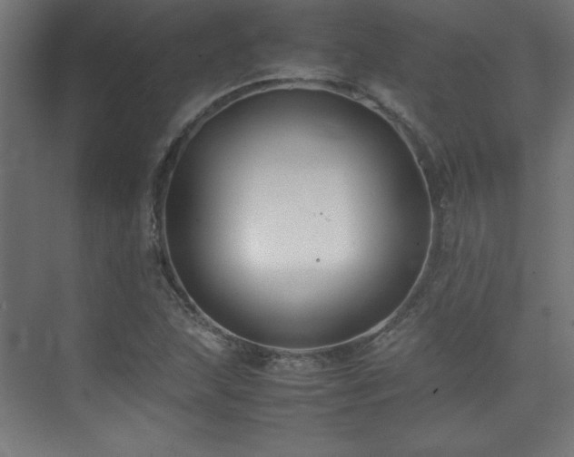 X0000074211215200608251054