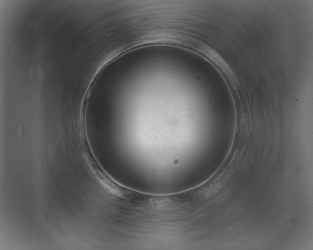 X0000074211242200608251054