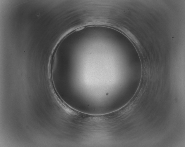 X0000074211246200608251054
