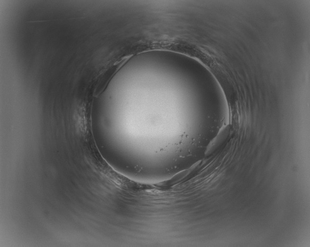 X0000074211252200608251053