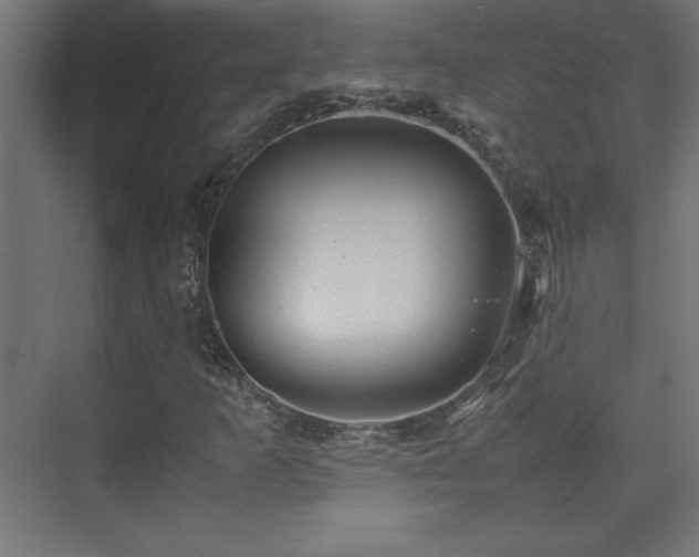 X0000074211253200608251053