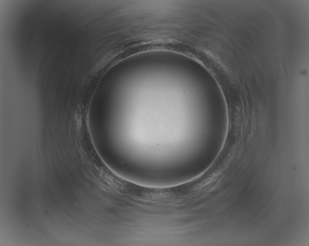 X0000074211257200608251053