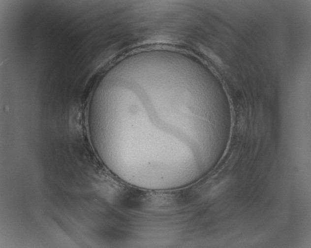 X0000074211258200608251053
