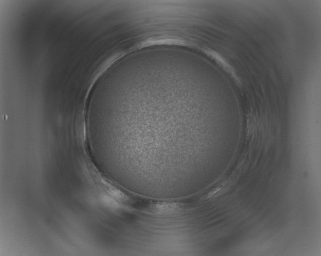X0000074211274200608251053