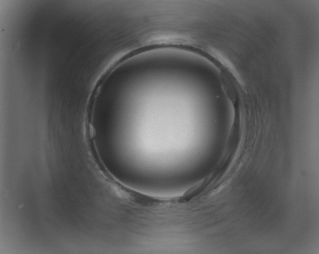 X0000074211277200608251053