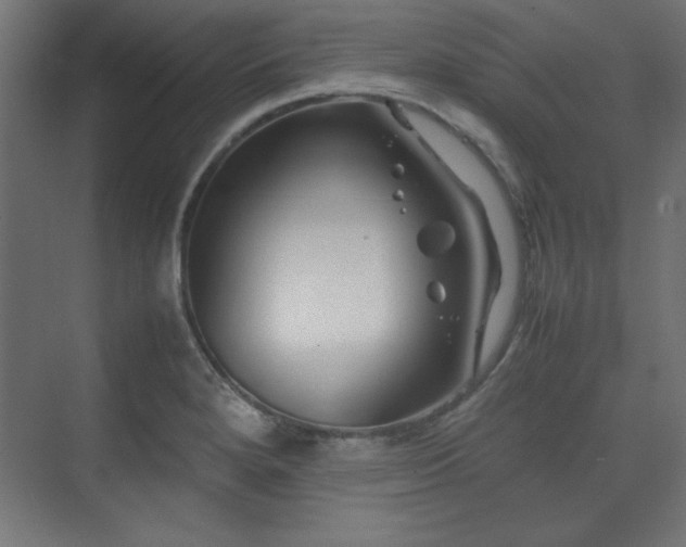 X0000074211280200608251053