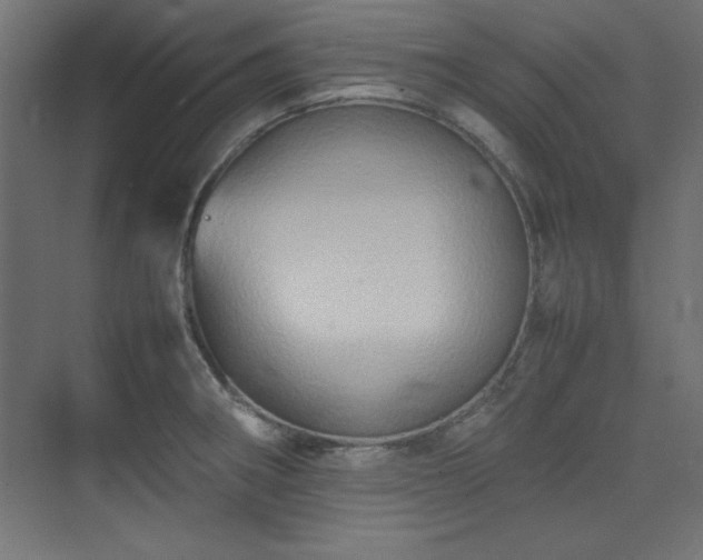 X0000074211282200608251053