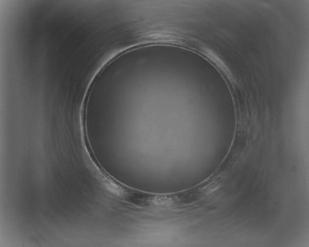 X0000074211291200608251053