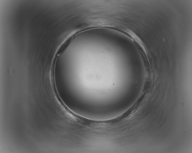 X0000074211293200608251053