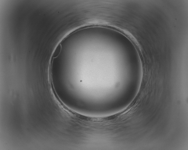 X0000074211295200608251053