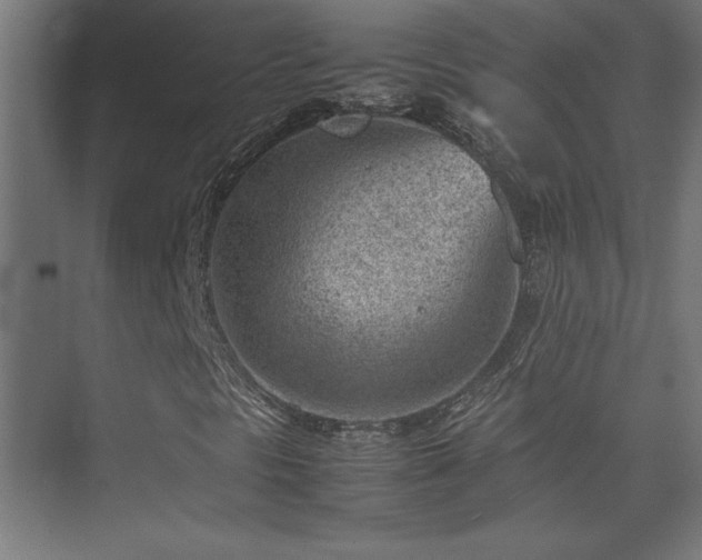 X0000074211297200608251052