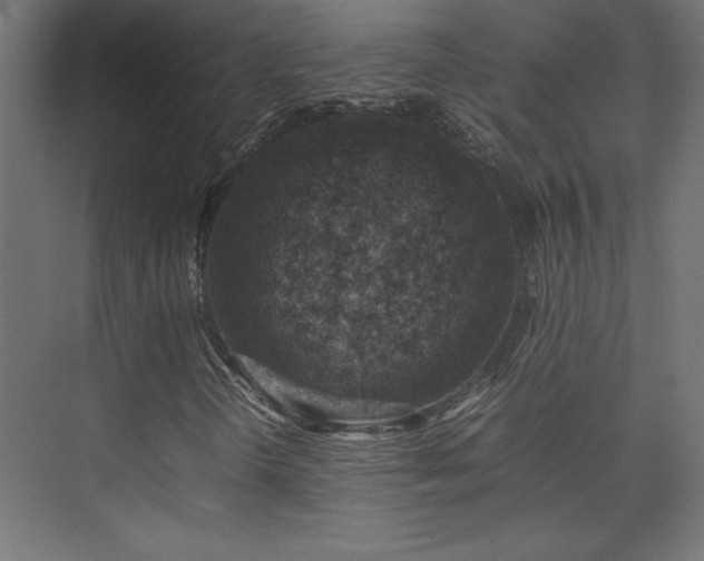 X0000074211298200608251052