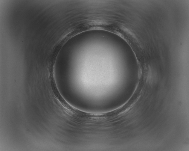 X0000074211305200608251052