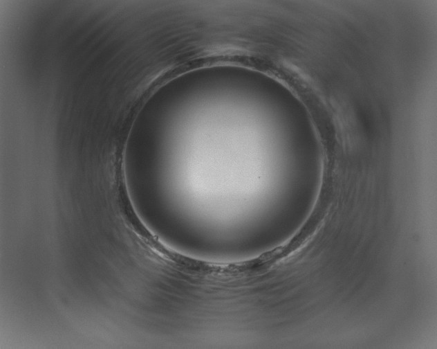 X0000074211313200608251052