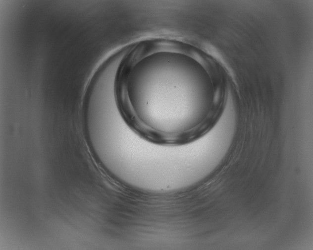 X0000074211320200608251052