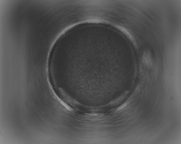 X0000074211327200608251052