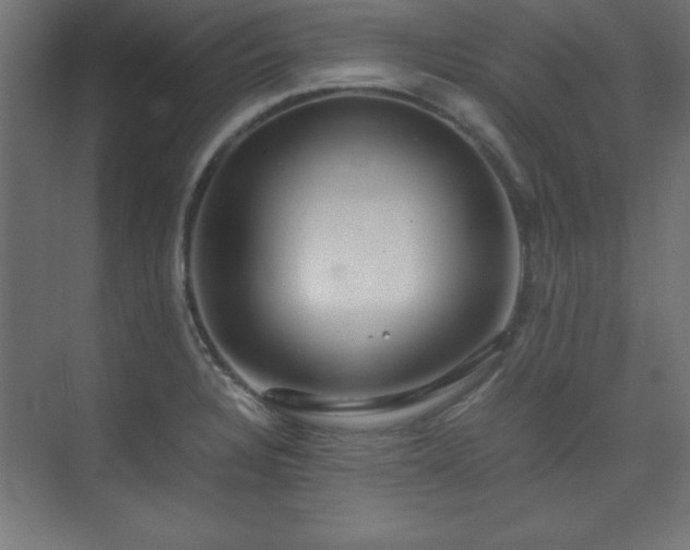 X0000074211328200608251052