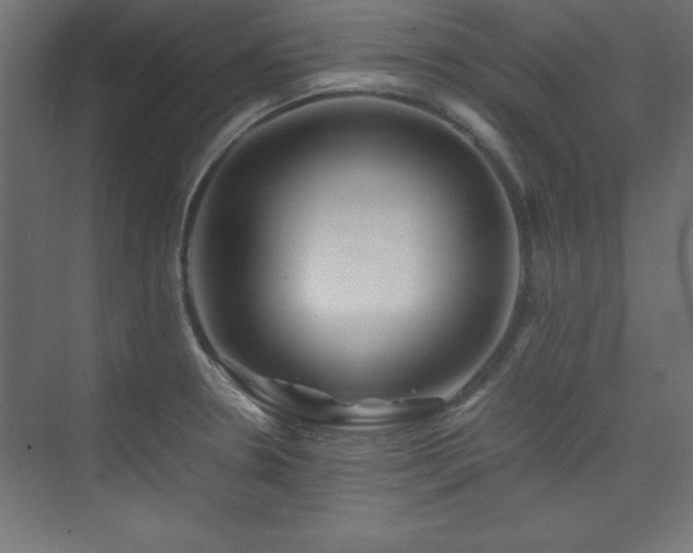 X0000074211330200608251052