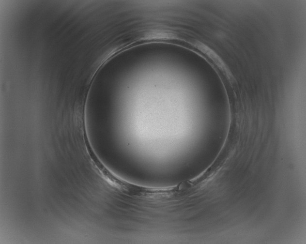 X0000074211337200608251053