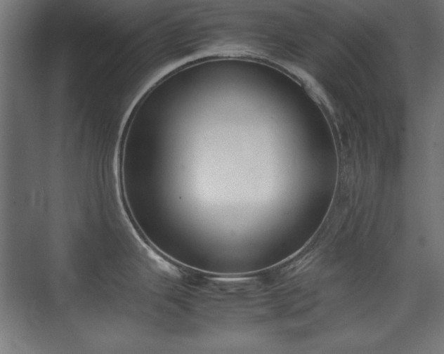X0000074211343200608251053