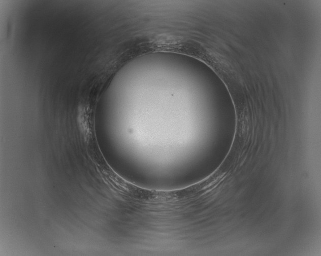 X0000074211346200608251052